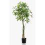 Arbre pachira artificiel HARUKI, troncs artificiels, 150cm