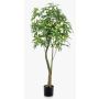 Arbre pachira artificiel HARUKI, troncs artificiels, 180cm