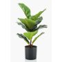 Ficus Lyrata artificiel EMILIANA, vert, 55cm