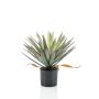 Yucca artificiel KOUKI, 50cm