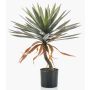 Yucca artificiel KOUKI, 75cm