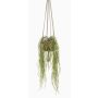Suspension artificielle d'Hoya linearis MIKI, pot en terre cuite, vert, 85cm
