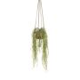 Suspension artificielle d'Hoya linearis MIKI, pot en terre cuite, vert, 85cm