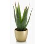 Aloe variegata synthétique MARTINEZ, pot en céramique doré, vert, 25cm, Ø17cm