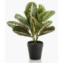 Plante artificielle Maranta SITULA, vert-rouge, 30cm