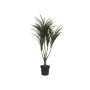 Dracaena Reflexa artificiel TABIVO, tronc artificiel, vert-rouge, 90cm