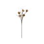 Branche de sedum artificielle BIROSSA, crossdoor, beige, 100cm