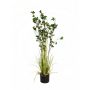 Herbe artificielle euonymus japonicus BASKO, 120cm