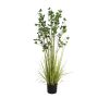 Herbe artificielle euonymus japonicus BASKO, 150cm