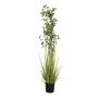 Herbe artificielle euonymus japonicus BASKO, 180cm