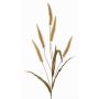 Pennisetum artificiel HIWA, panicules, vert, 135cm
