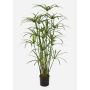 Plante artificielle Papyrus ALBY, vert, 125cm