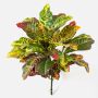 Faux croton TAAVI sur piquet, multicolore, 55cm