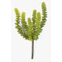 Crassula perforata artificiel FULU sur piquet, vert, 15cm