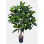 Caoutchouc artificiel AZZURRA, vert, 120cm