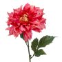 Dahlia décoratif NATSU, fuchsia-rose, 60cm