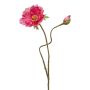 Coquelicot artificiel HASNA, rose, 75cm