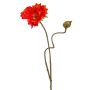 Coquelicot artificiel HASNA, rouge, 75cm
