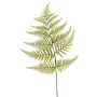 Fausse feuille de fougère épée MBALI, vert, 80cm