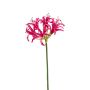 Amaryllis de jardin décoratif BAIMAI, fuchsia, 75cm