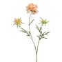 Fleur artificielle Scabiosa MARUA, pêche, 80cm