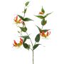 Gloriosa artificiel WARIS orange-jaune, 120cm
