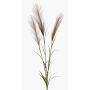 Branche décorative herbe de la pampa ADNANE avec panicules, marron, 90cm