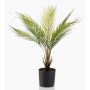 Palmier de montagne décoratif AIKU, 50cm