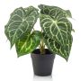 Anthurium artificiel TESHI, vert crème, 25cm