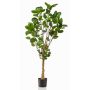 Plante artificielle Polyscias FAUZIA, tronc artificiel, 150cm