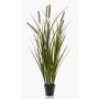 Roseau artificiel ZWENA avec panicules, vert-jaune, 85cm