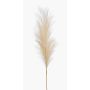 Herbe de la Pampa artificielle AMATSIA, crème, 115cm