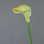 Fleur décorative Calla DAISCHI, jaune-vert, 70cm