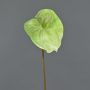 Fleur d'anthurium artificielle YUSEI, vert-crème, 65cm