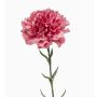 Œillet artificiel NIRUSHA, vieux rose, 65cm