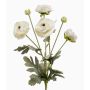 Renoncule décorative HIBBA, crème, 65cm