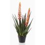 Plante artificielle Aloe Vera SUSUMI avec fleurs, pot décoratif, orange-vert, 80cm