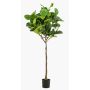 Ficus Lyrata synthétique ABIULA, tronc naturel, vert, 195cm