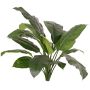 Plante artificielle Spathiphyllum PLAKIAS, difficilement inflammable, tige, verte, 90 cm