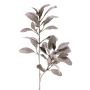 Fausse branche de laurier-lambris VEVEY, gris-vert, 70 cm