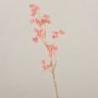Branche de Callicarpe de Bodinier artificielle BEYNAC, baies, rose, 45cm