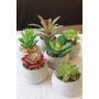 Succulentes artificielles TAYO dans pot en béton, 6 pièces, vert-rouge, 6-10cm
