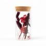 Fleurs séchées en pot en verre ROMIRO, rouge, 12cm, Ø6,5cm