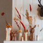 La joie animale avec des vases
