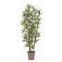 Bambou artificiel KUSJA, tiges de bambou naturelles, crossdoor, 225cm - Made in Italy