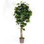 Arbre décoratif Érable SLAWA, troncs naturels, vert, 300cm - Made in Italy