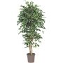 Ficus Benjamina artificiel LEVANTA, troncs naturels, vert-blanc, 150cm - Made in Italy