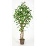 Bouleau blanc artificiel HINDRIKA, troncs naturels, vert, 225cm - Made in Italy
