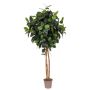 Caoutchouc artificiel LENELOTTE, troncs naturels, vert, 250cm - Made in Italy