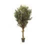 Olivier artificiel CECILIO, tronc en bois véritable, avec des fruits, 200cm - Made in Italy